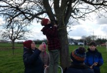 Die in den Wintermonaten gefertigten Vogelnistkästen wurden nun auf der Streuobstwiese in Hainichen angebracht