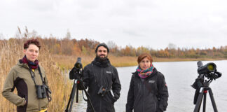 Lena Urban, Alexander Thomas und Heike Franke (von links) sind im Naturschutzgebiet regelmäßig unterwegs - hier am Ufer des Zwochauer Sees. Foto: Alexander Bley