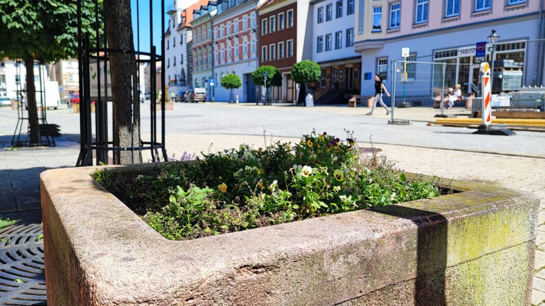 Die Stadt Schmölln möchte die Pflanzkübel auf dem Markt erneuern und dann an Paten übergeben. Foto: Stadtverwaltung Schmölln