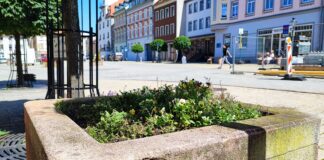 Die Stadt Schmölln möchte die Pflanzkübel auf dem Markt erneuern und dann an Paten übergeben. Foto: Stadtverwaltung Schmölln