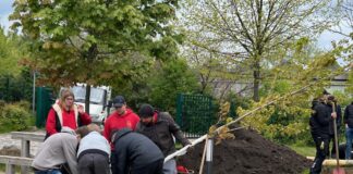 Gemeinsam anpacken: Baumpflanzung an der Döbelner Oberschule Foto: privat