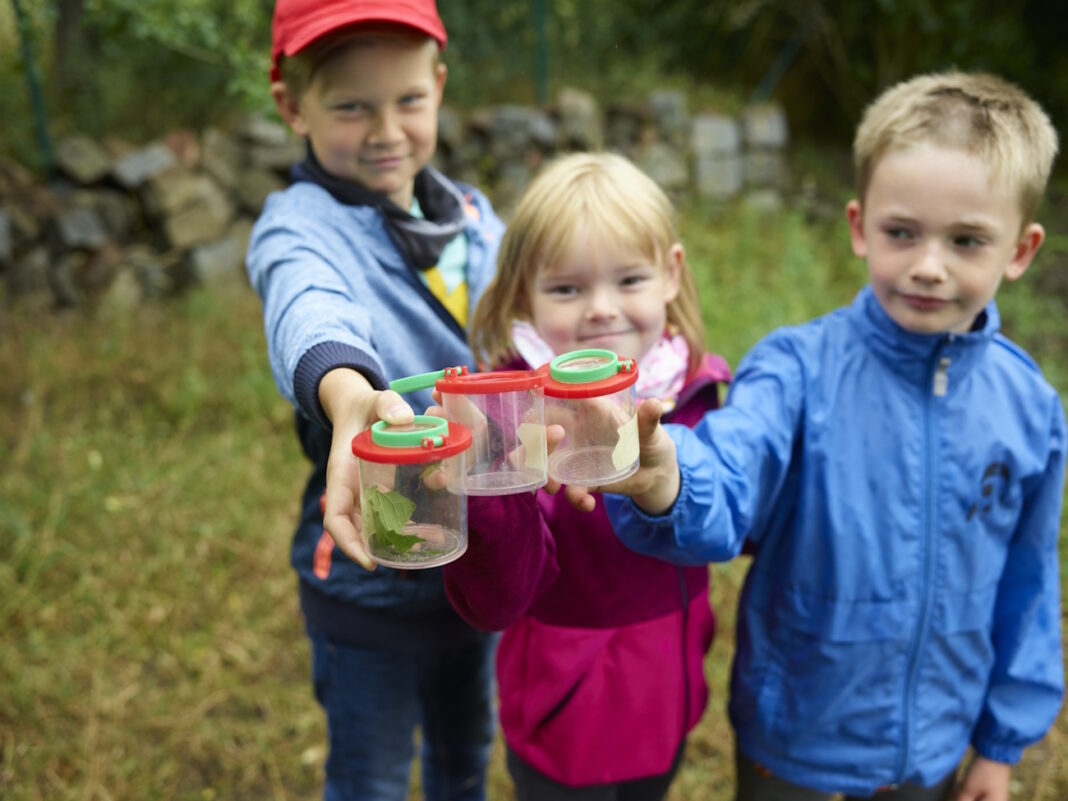 Kinder gehen in den Ferien auf Spurensuche in der Dübener Heide.