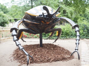 Auch dieser riesige Käfer ist Teil der Zoo-Ausstellung "Winzige Giganten". Foto: Zoo Leipzig
