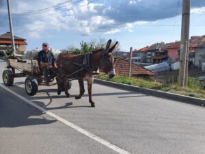 In Bulgarien waren Eselskarren an der Tagesordnung. Foto: Rebecca Maria Salentin