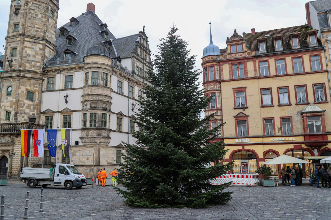 Der Altenburger Markt bekam seine Tannenbaum für den Weihnachtsmarkt im Vorjahr aus Zschernitzsch. Foto: Mario Jahn