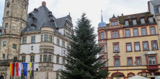 Der Altenburger Markt bekam seine Tannenbaum für den Weihnachtsmarkt im Vorjahr aus Zschernitzsch. Foto: Mario Jahn