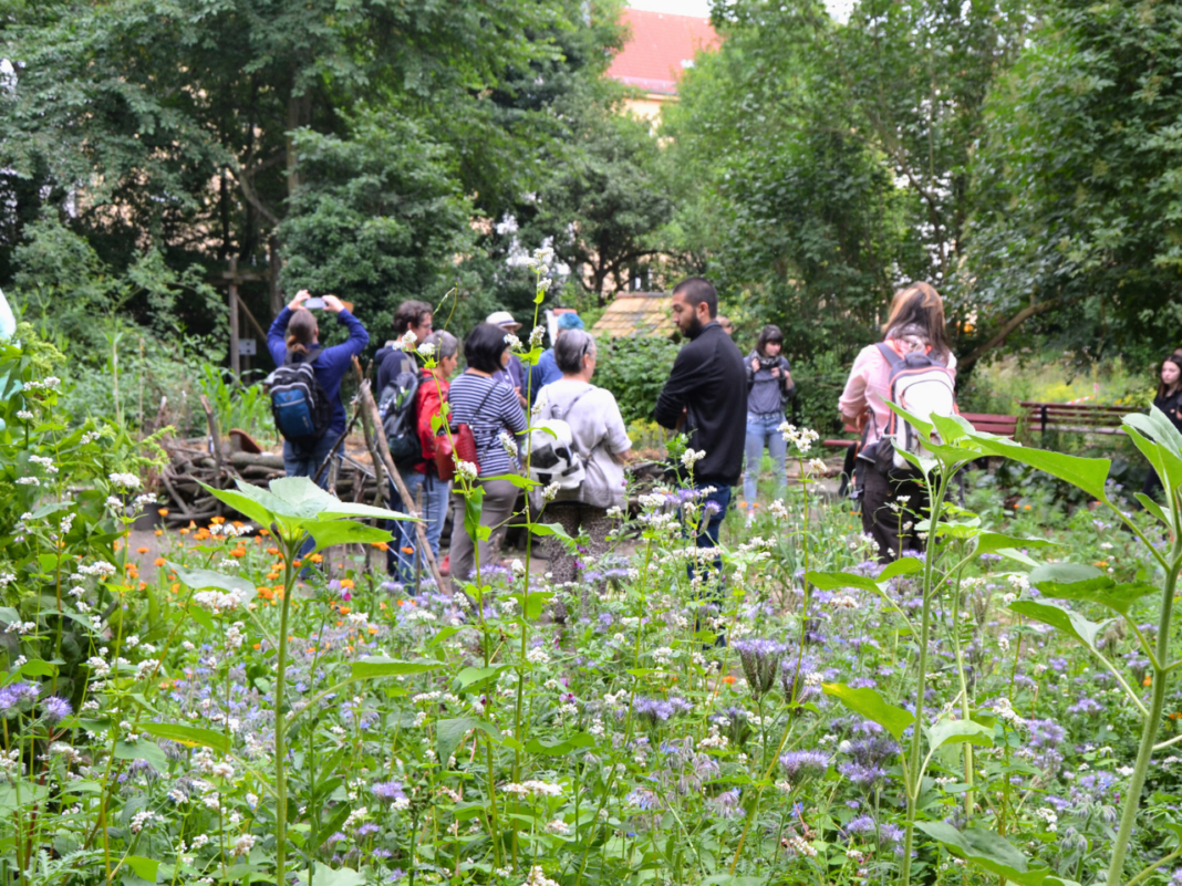 Ist im 30. Jahr des Bestehens ein beliebtes Ausflugsziel, ein Ort der Umweltbildung und ein Platz zum Mitmachen – der Stadtgarten Connewitz. Foto: Ökolöwe e.V.