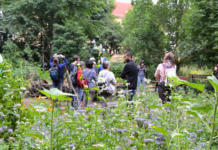 Ist im 30. Jahr des Bestehens ein beliebtes Ausflugsziel, ein Ort der Umweltbildung und ein Platz zum Mitmachen – der Stadtgarten Connewitz. Foto: Ökolöwe e.V.