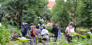 Ist im 30. Jahr des Bestehens ein beliebtes Ausflugsziel, ein Ort der Umweltbildung und ein Platz zum Mitmachen – der Stadtgarten Connewitz. Foto: Ökolöwe e.V.