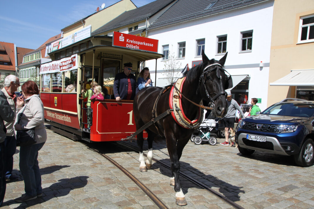 Die Döbelner Pferdebahn verkehrt zwischen Ober- und Niedermarkt – eine tolle Mitfahrgelegenheit für Besucherinnen und Besucher. Foto: Gerhard Dörner