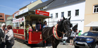 Die Döbelner Pferdebahn verkehrt zwischen Ober- und Niedermarkt – eine tolle Mitfahrgelegenheit für Besucherinnen und Besucher. Foto: Gerhard Dörner