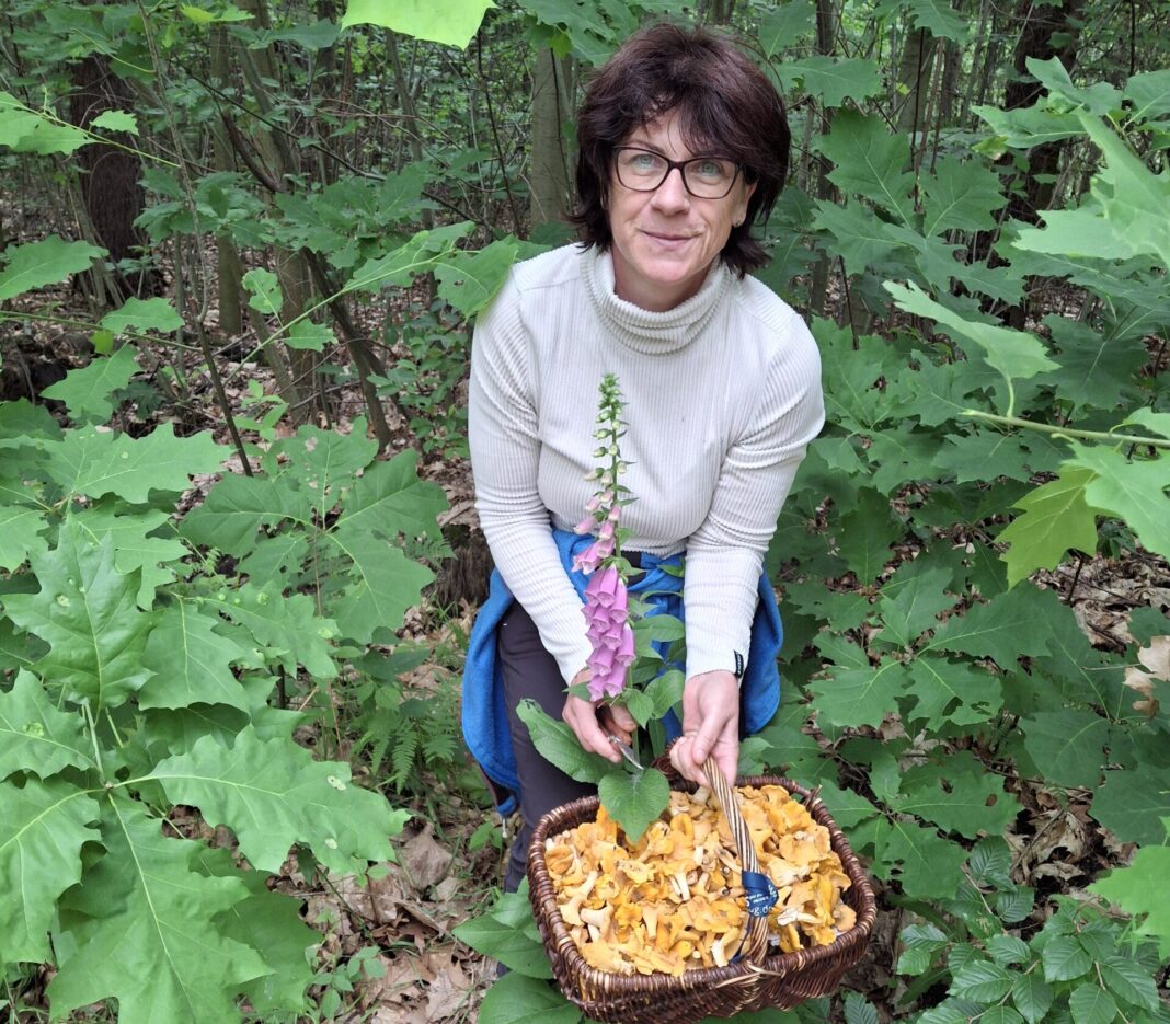 Sachverständige Claudia Dietrich bietet Pilzwanderungen durch die Region an. Foto: privat