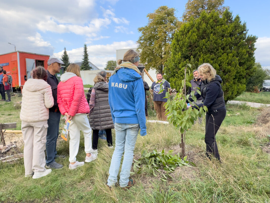 Beim Interkulturellen Erntedank im NABU Zukunftsgarten in Gnandorf konnte man auch viele Dinge zum Thema Obstbaum-Pflege erfahren. Foto: Nabu