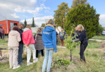 Beim Interkulturellen Erntedank im NABU Zukunftsgarten in Gnandorf konnte man auch viele Dinge zum Thema Obstbaum-Pflege erfahren. Foto: Nabu