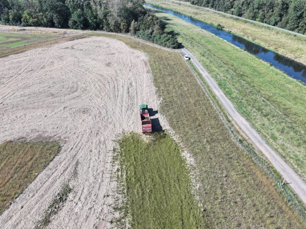 So sah er aus, der Mahdübertrag auf dem Acker am Pfingstanger in Leipzig. Foto: Landestalsperrenverwaltung Sachsen