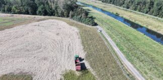 So sah er aus, der Mahdübertrag auf dem Acker am Pfingstanger in Leipzig. Foto: Landestalsperrenverwaltung Sachsen