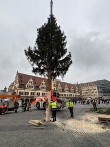 Der Weihnachtsbaum wurde auf dem Markt postiert. Foto: André Kempner