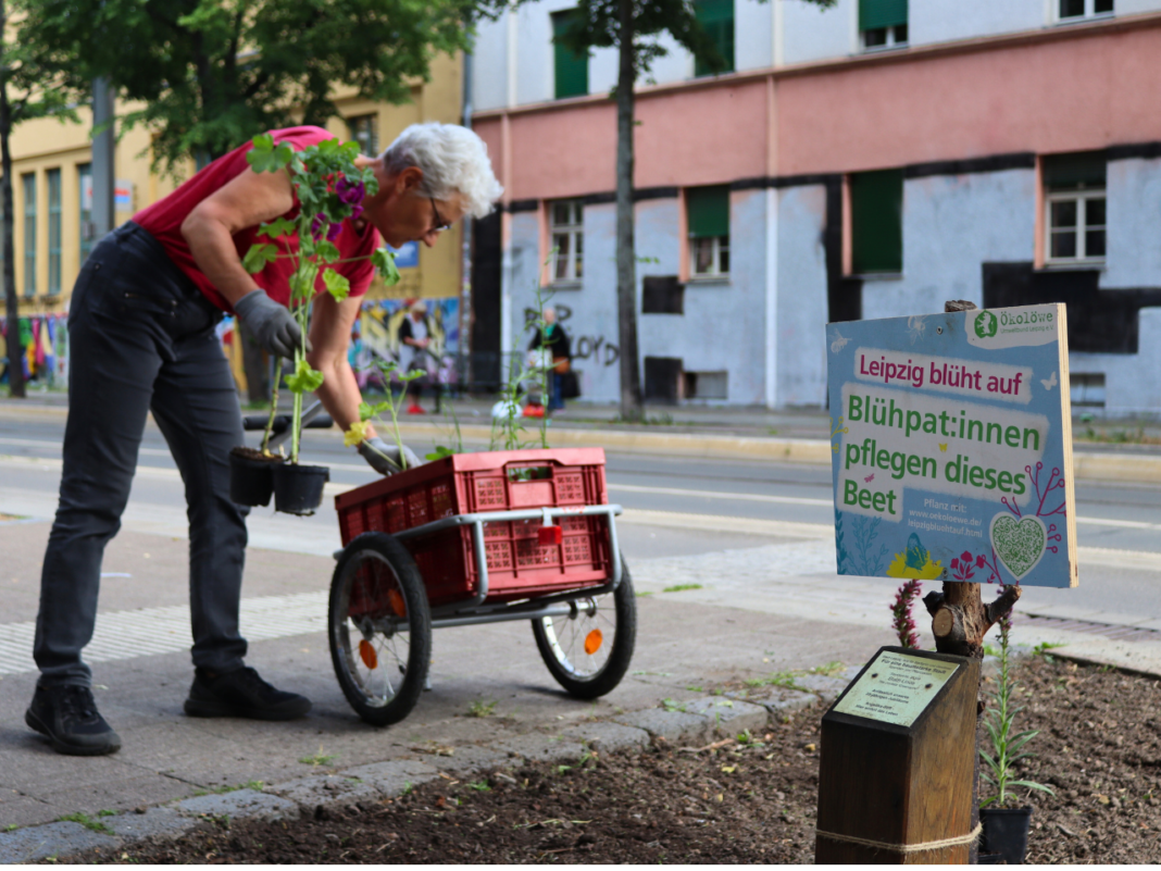 Auch 2024 soll das Motto wieder lauten: Leipzig blüht auf! Foto: Ökolöwe Leipz