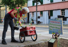 Auch 2024 soll das Motto wieder lauten: Leipzig blüht auf! Foto: Ökolöwe Leipz