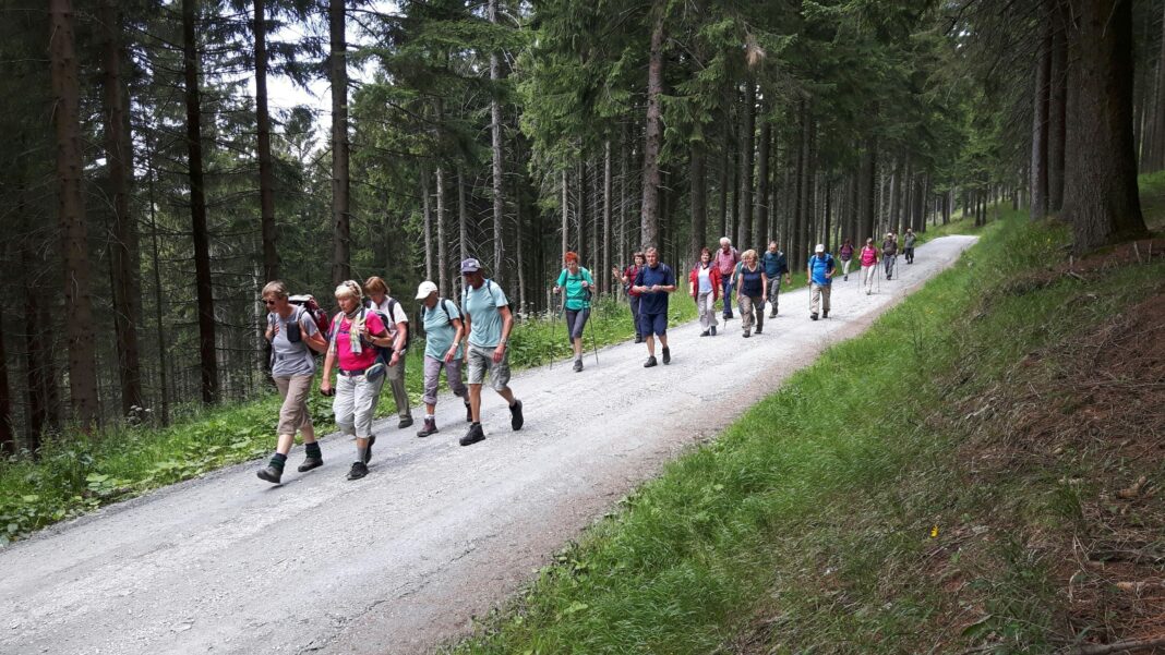 Wer geführte Wandertouren durch Nordsachsen machen will, findet in der Region viele Gleichgesinnte. Foto: privat